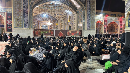 نگاهی به فعالیتهای مهاجرین افغانستانی در یک هفته گذشته 