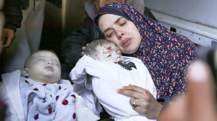 Критика репортера ООН расистских действий сионистского режима