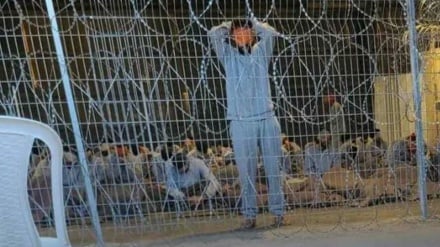 Rezim Zionis: Penyelidikan atas Kejahatan Tentara Adalah Kejahatan