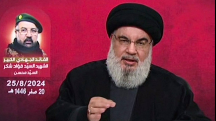 ইসরাইল 'সমস্ত রেডলাইন' অতিক্রম করেছে: হাসান নাসরুল্লাহ 