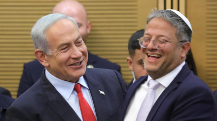 מספיק טיפש אחד בשביל לשרוף יער שלם