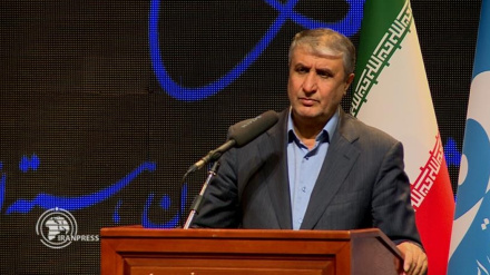 Глава Организации по атомной энергии: Политика открытых дверей стоит на повестке дня Исламской Республики Иран