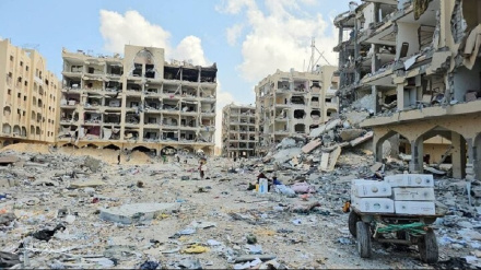 په غزې کې د کنډوالو د زیاتیدا په باب ملګروملتو خبرداری ورکړ