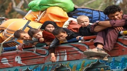 کمیساریای پناهندگان: پاکستان مهاجران افغان را به تدریج بازگرداند