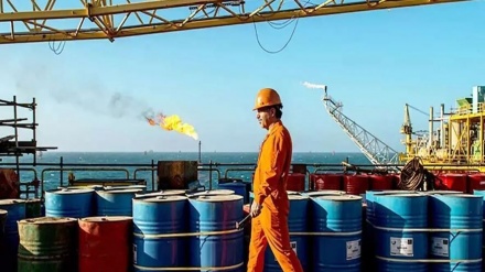 Neftin qiyməti qalxmaqda davam edir