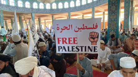 افغانستان کښې د اسماعیل هنینه په هکله غونډې وشوې 