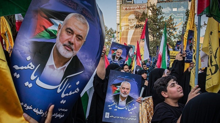 د مقاومت په رګونو کې د شهید اسماعیل د وینې ځلا 