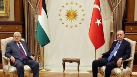 Erdogan takohet me Mahmud Abbas në Ankara