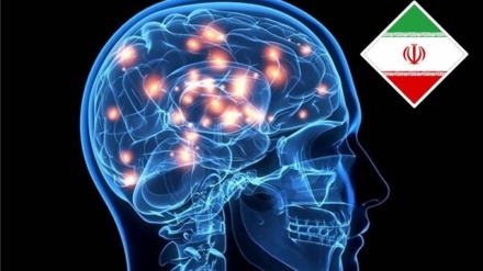 La costruzione dispositivo di stimolazione cerebrale intracranica in Iran con la capacità di registrare segnali cerebrali