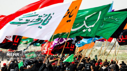 Hüseyin-i Erbain yürüyüşünün siyasi kapasitesi