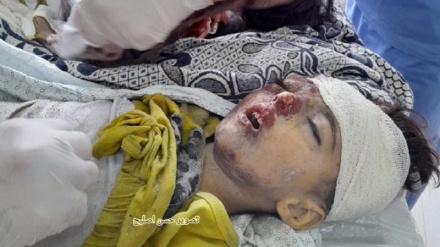Мученическая смерть более 100 палестинцев в результате авиаудара Израиля по школе в секторе Газа