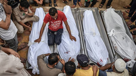 Martirizohen 22 palestinezë në Gaza