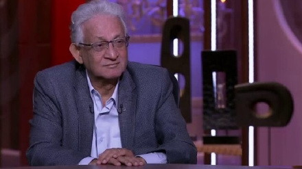 Egyptian analyst: Iran enjoys special credit in Arab world due to independent decision-making  