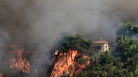 Zjarri në veri të Athinës shkaktoi largimin e mijëra njerëzve