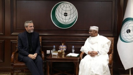 Eýranyň, sionist režime garşy göreşmek üçin yslam ýurtlarynyň amaly hereketlerine ünsi çekdi