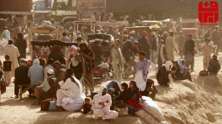 طالبان به مهاجران بازگشته به افغانستان زمین می‌دهد