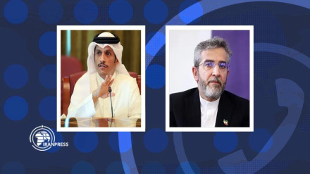 بررسی آخرین تحولات نوار غزه، محور گفت وگوی باقری و وزیرخارجه قطر