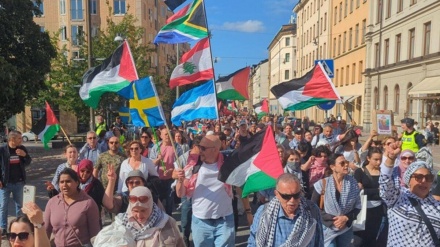 Vendet evropiane vazhdojnë të protestojnë kundër luftës në Gaza