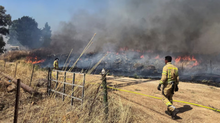 ‘উত্তরে হিজবুল্লাহর কাছে যুদ্ধে হেরে গেছে ইসরাইল’