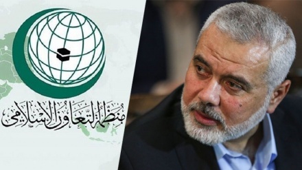 Organization of Islamic Cooperation: Haniyeh assassination violates Iran's sovereignty 