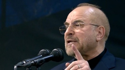 Ghalibaf: Kemi për detyrë t'i japim përgjigjen e duhur vrasjes së dëshmorit Hanijeh