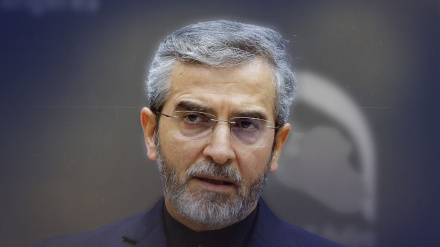 Baqiri: İran qarşılıqlı fəaliyyət və əməkdaşlıq sahəsində ECO-nun çiçəklənməsinə hazırdır