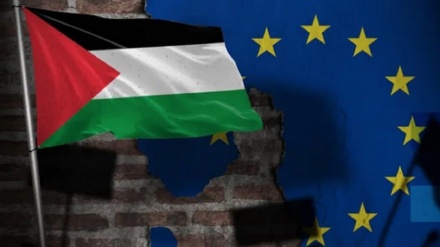 اروپا کښې د فلسطین د خلکو د ملاتړ دوه ویشت زره مظاهرې شوي