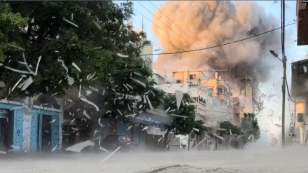 42 palestinezë të tjerë ranë dëshmorë në Gaza