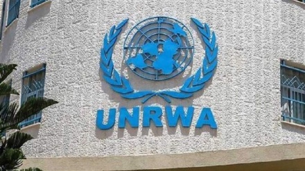 UNRWA meldet den Tod von 205 Helfern in Gaza