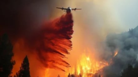 Թուրքիայի իշխանությունները նշել են անտառային հրդեհների պատճառը Իզմիրում