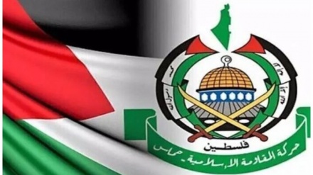 תנועת חמאס: המו