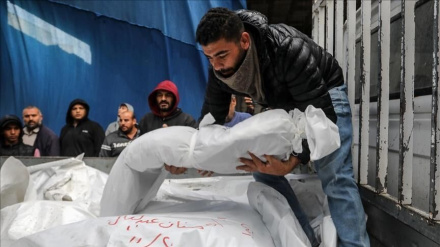 İşgal rejimi bugün de Gazze'deki cinayetlerine devam etti