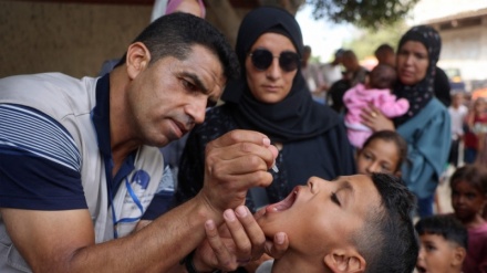 MSF fajëson Izraelin për shpërthimin e poliomielitit në Gaza