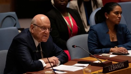 Takim i posaçëm i Këshillit të Sigurimit për Libanin/Plani i Parisit për një armëpushim 21-ditor 