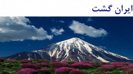 ایران گشت