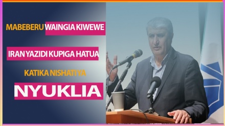 Iran: Adui anatiwa kiwewe na ustawi na maendeleo yetu ya nyuklia 