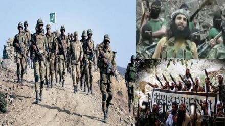 ২২৮ তালেবান নিহতের দাবি পাকিস্তানের: ভারতের নিন্দা, সংলাপের আহ্বান জাতিসংঘের