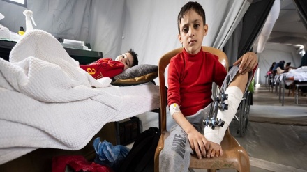 Sionistët sulmuan 3 shkolla në Gaza duke lënë 21 dëshmorë