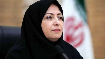 Sheena Ansari, die dritte Frau an der Spitze der iranischen Umweltorganisation, die sich für die Entwicklung sauberer Energie einsetzt