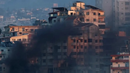 ביידן ומקרון קוראים להפסקת אש מיידית של 21 יום