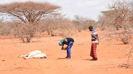 Zaidi ya watu milioni 82 wanateseka kwa uhaba wa chakula Mashariki na katikati mwa Afrika