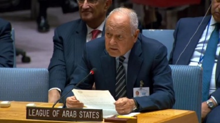 Генсек ЛАГ: прекращение агрессии сионистского режима в секторе Газа является глобальным требованием