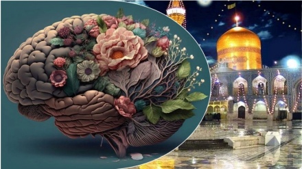 Come misurare la tua intelligenza? 10 segni di perfezione dell'intelletto secondo l'Imam Reza (AS)