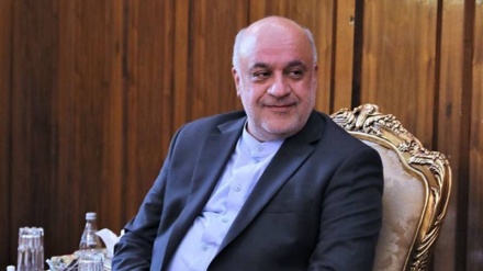 Amani: Është nder të përziej gjakun tim me gjakun e libanezëve të plagosur