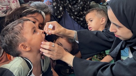 Гутерреш подчеркнул необходимость прекращения войны в секторе Газа для защиты палестинских детей