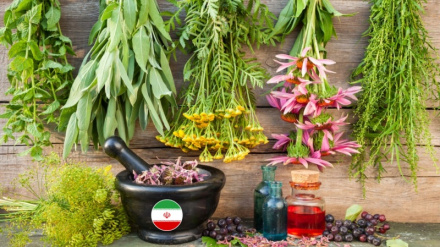 Экспорт более 300 тонн лекарственных растений из провинции Фарс