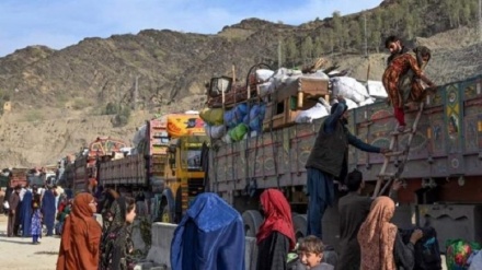 بازگشت بیش از 600 پناهجوی افغانستانی از پاکستان در یک هفته