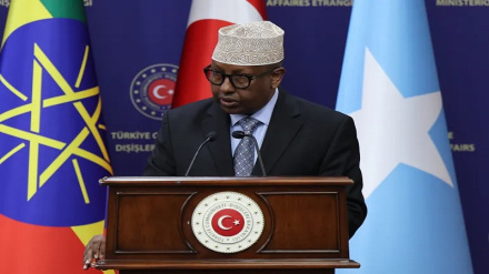 Somalia yailalamikia Addis Ababa na kutishia kuwaunga mkono waasi wa Ethiopia