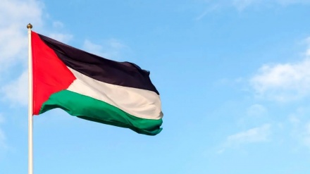קואליציה בינלאומית חדשה למען פתרון שתי המדינות