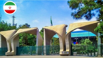 Universitas Tehran Berada di Peringkat Teratas Universitas Islam terbaik di bidang Ilmu Kognitif